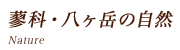 蓼科・八ヶ岳の自然