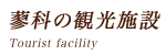 蓼科の観光施設